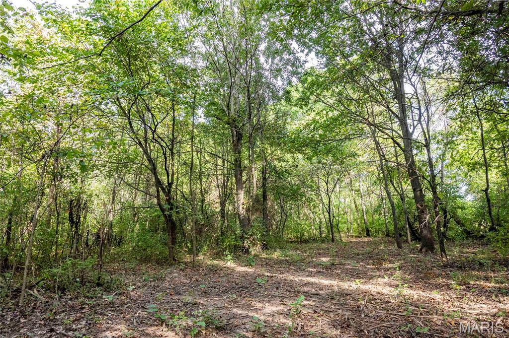 24501 Highway Ww Property Photo 28
