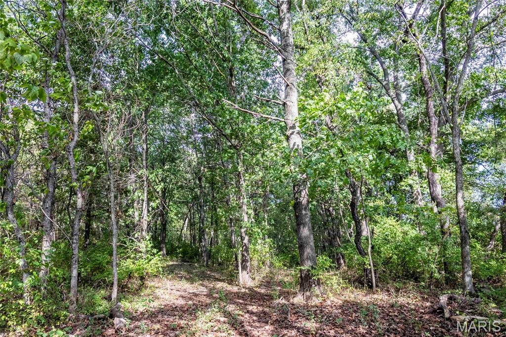 24501 Highway Ww Property Photo 29