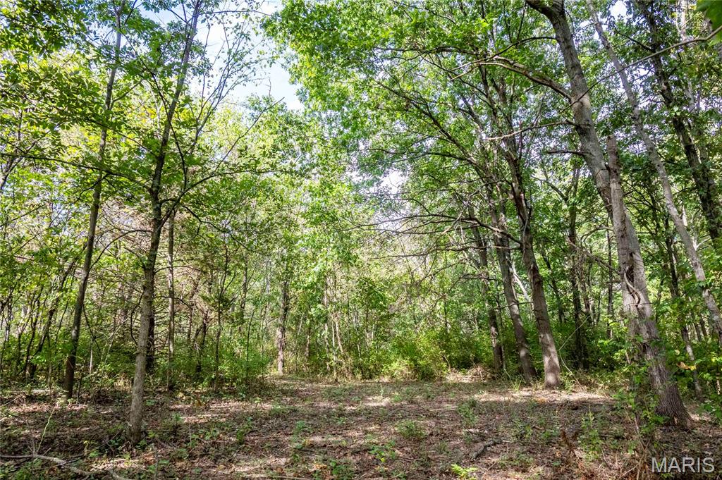 24501 Highway Ww Property Photo 34