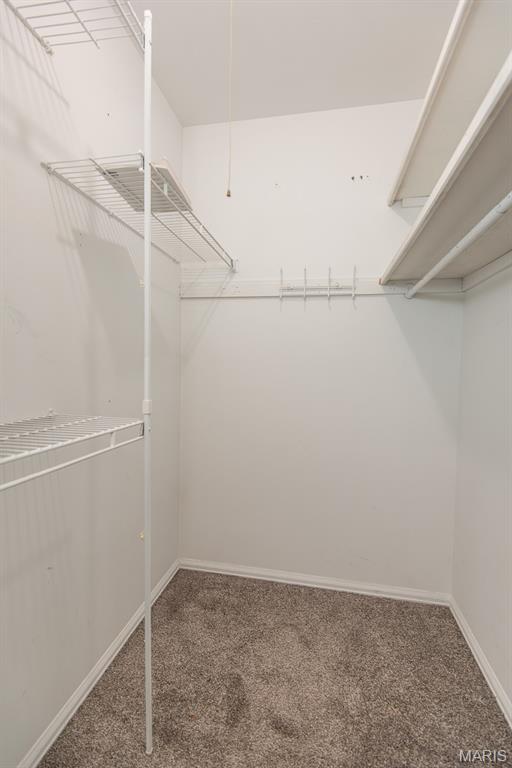 434 Paula Vale Court Property Photo 25