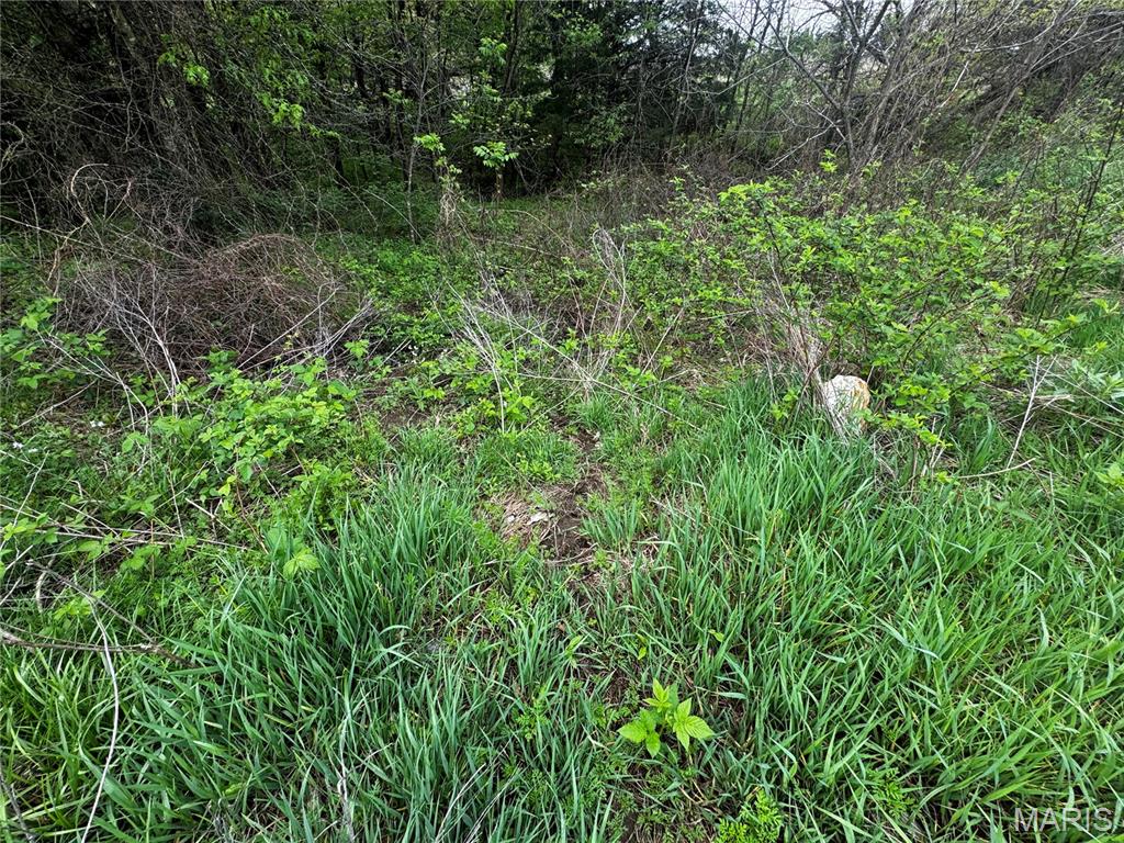 0000 County Road 120 Property Photo 10