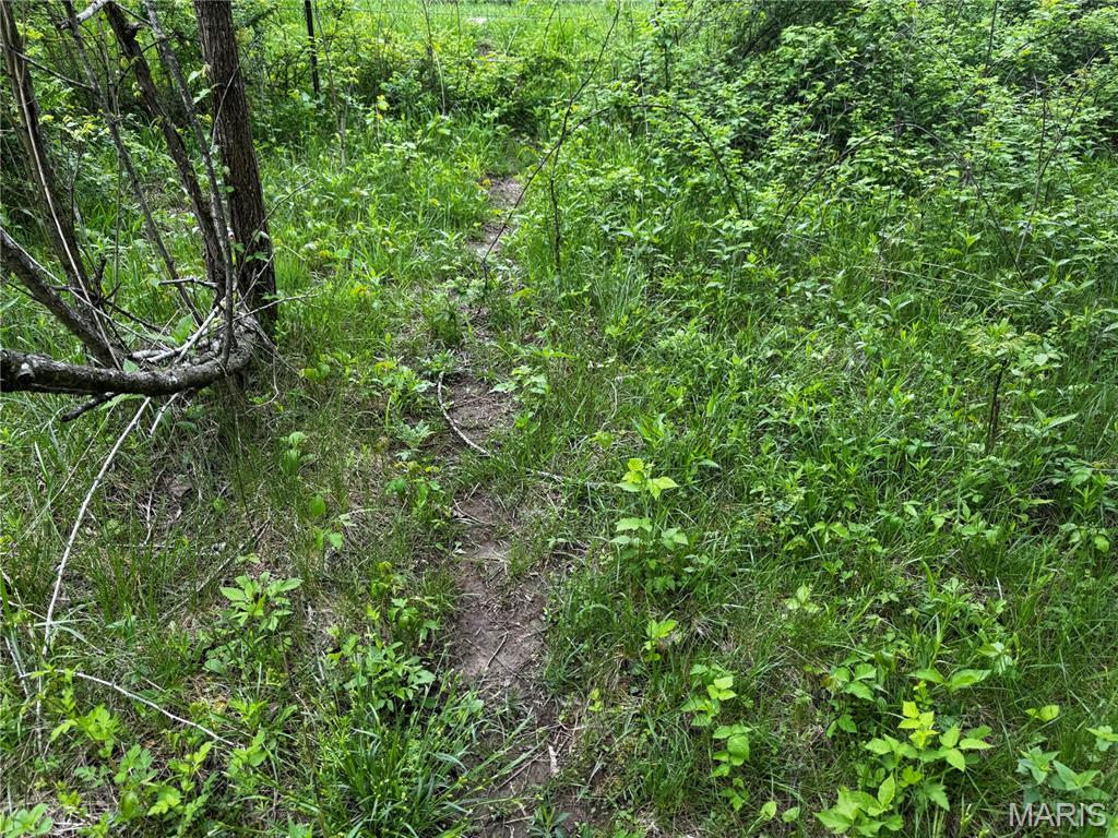 0000 County Road 120 Property Photo 15