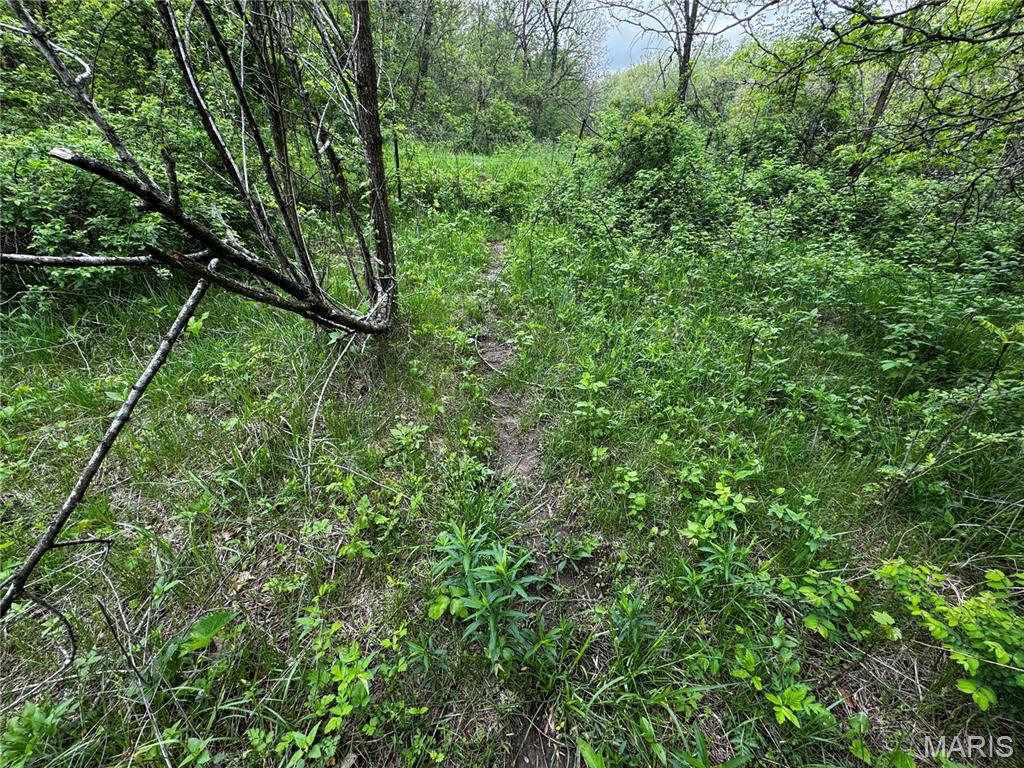 0000 County Road 120 Property Photo 16