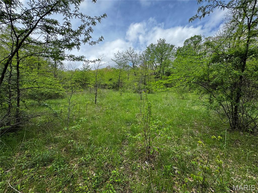 0000 County Road 120 Property Photo 17
