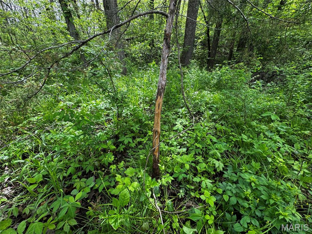 0000 County Road 120 Property Photo 18