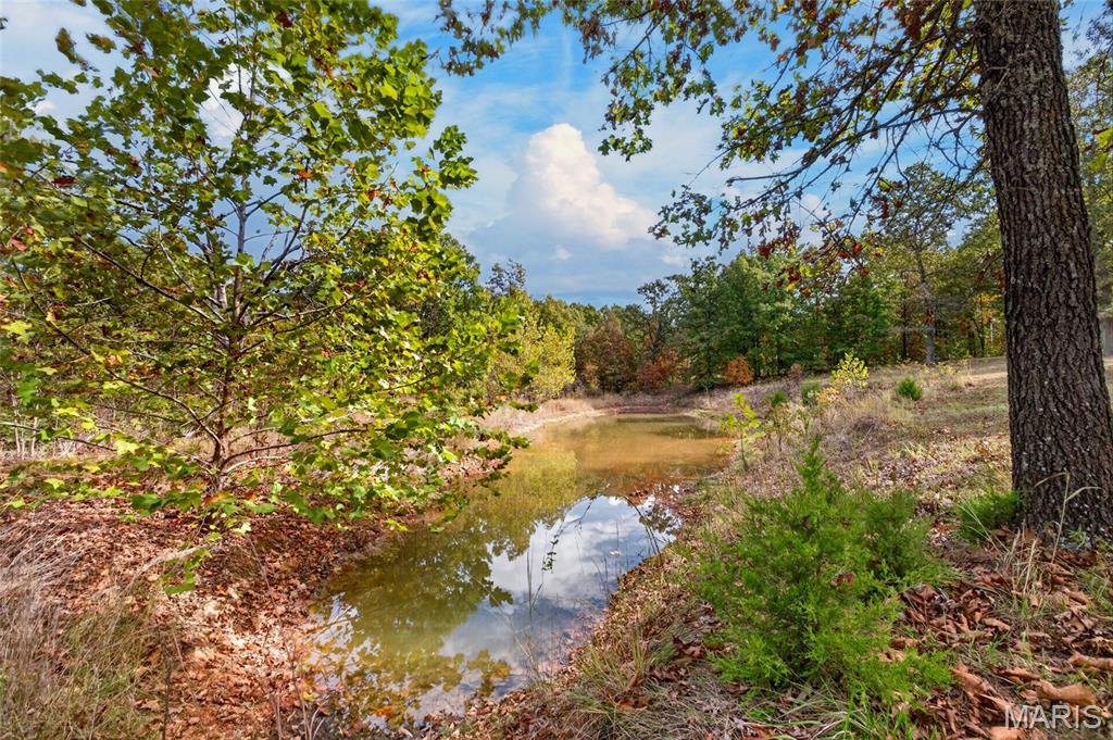 9 Verbena Trail Property Photo 3