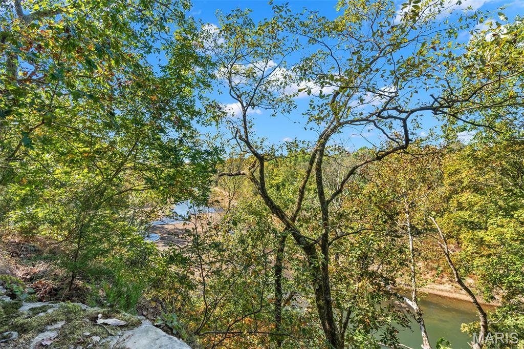 6411 Evergreen Loop Property Photo 68