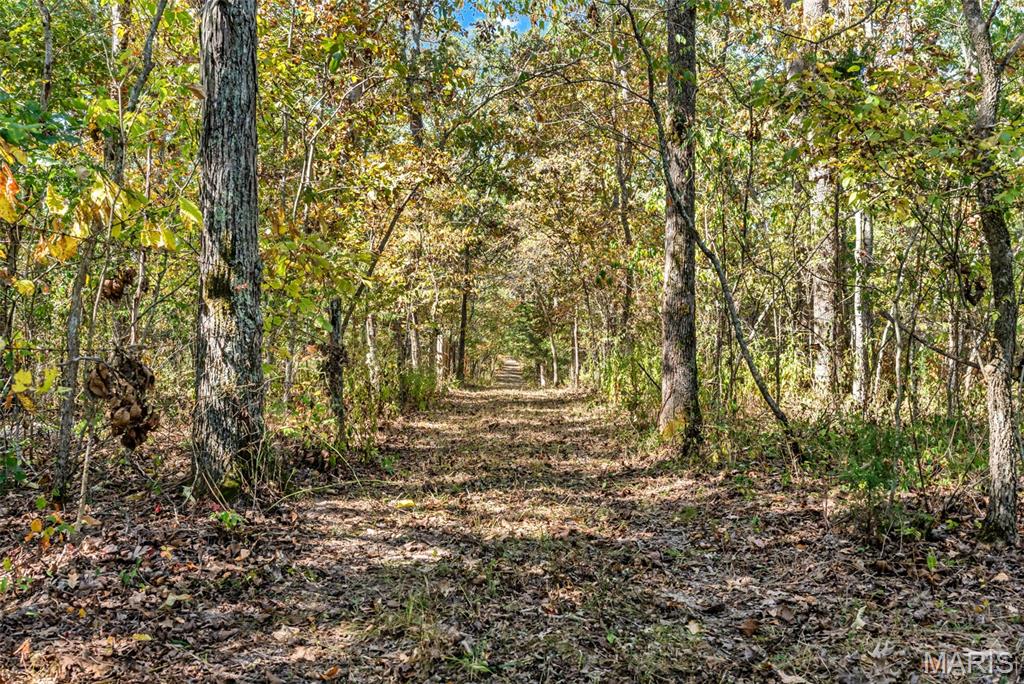 6411 Evergreen Loop Property Photo 69
