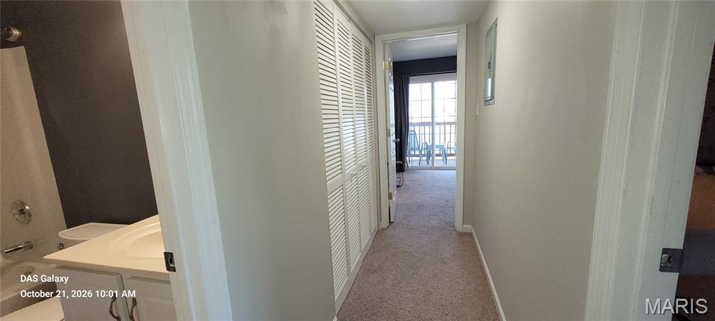 1606 Forest Springs Lane Lane B Property Photo 19