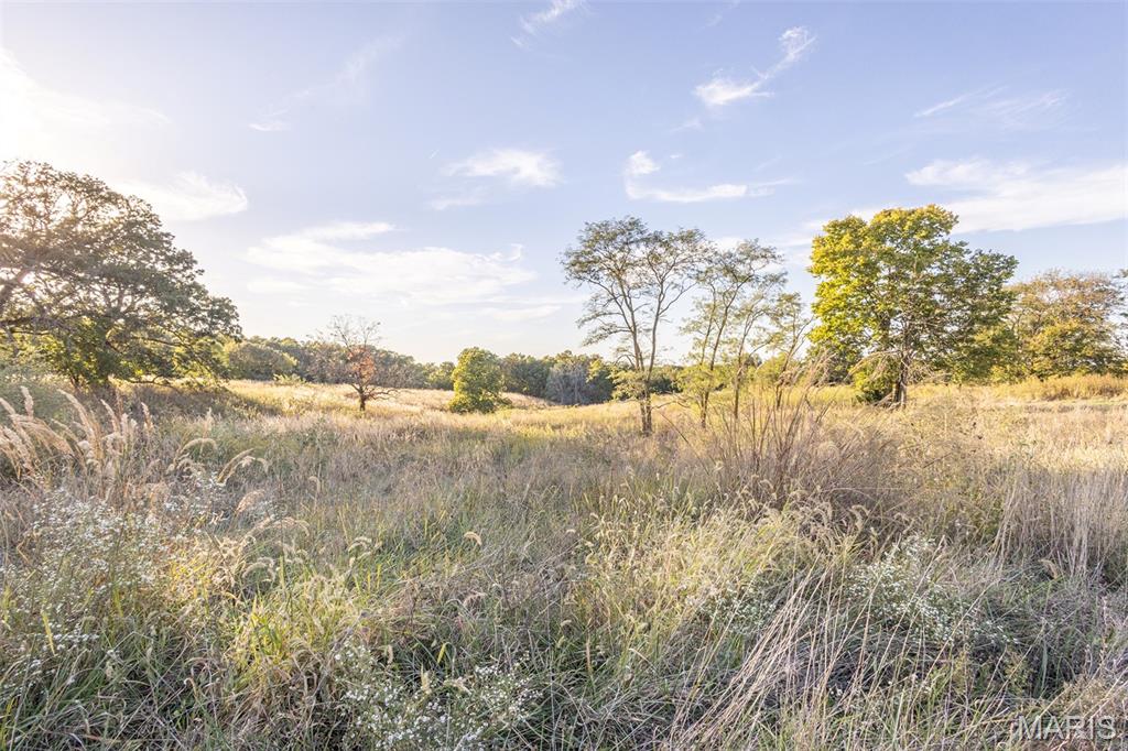 24443 Audrain Road 364 Property Photo 4
