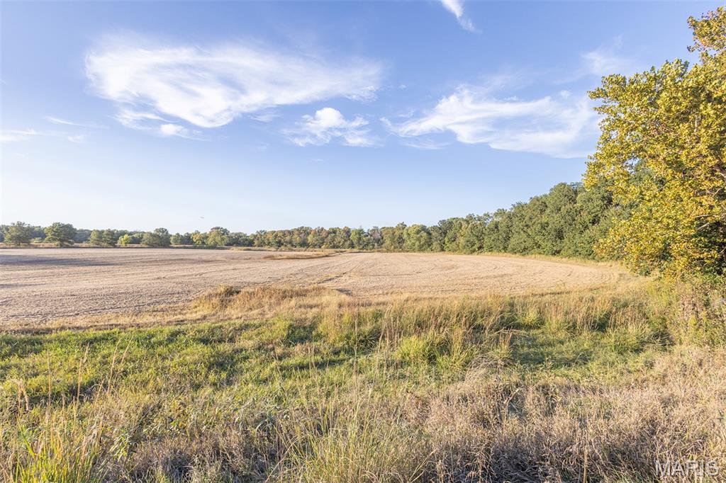 24443 Audrain Road 364 Property Photo 16