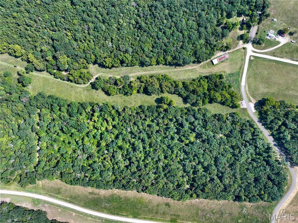 Lot 3 Tanglefoot Farms Road Property Photo 4