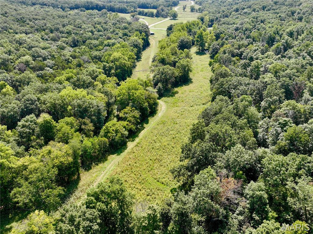 Lot 3 Tanglefoot Farms Road Property Photo 5