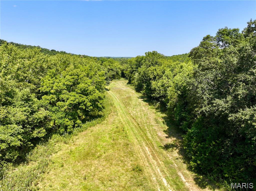 Lot 3 Tanglefoot Farms Road Property Photo 9