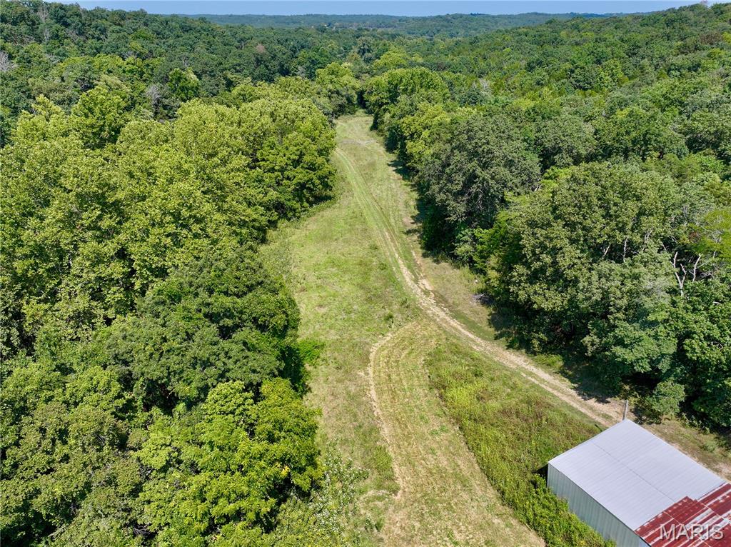 4 Lot Tanglefoot Farms Road Property Photo 5