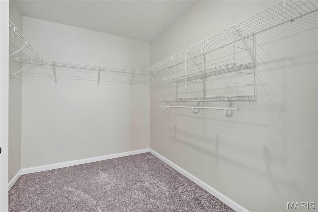 242 Lakeview Farms Drive Property Photo 22