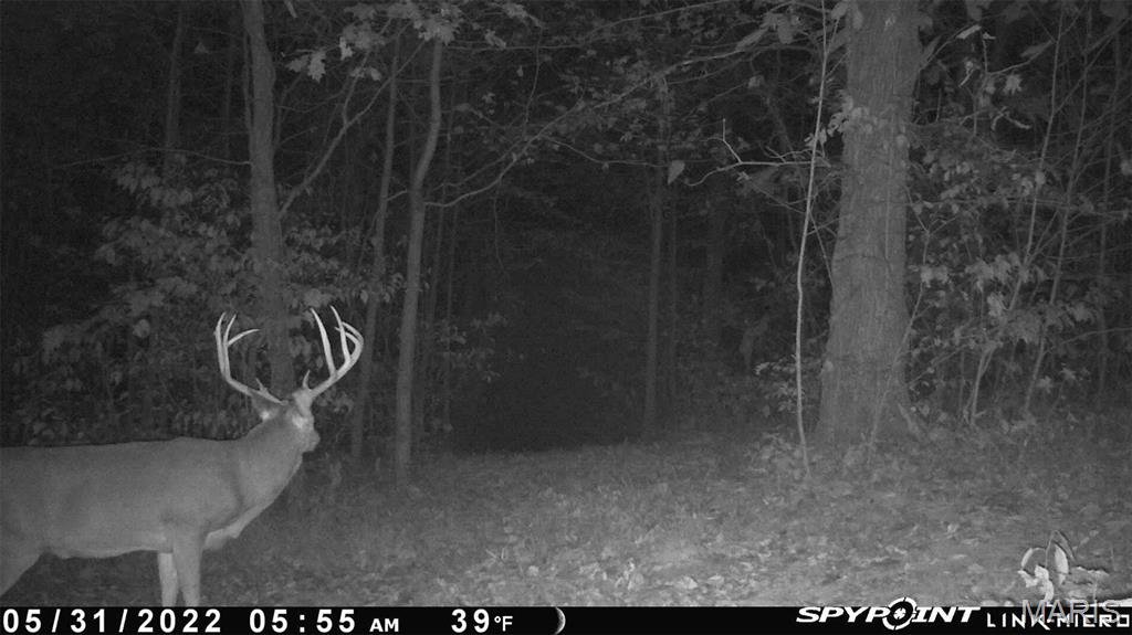 Off Pcr 458 Pcr 458 Property Photo 10