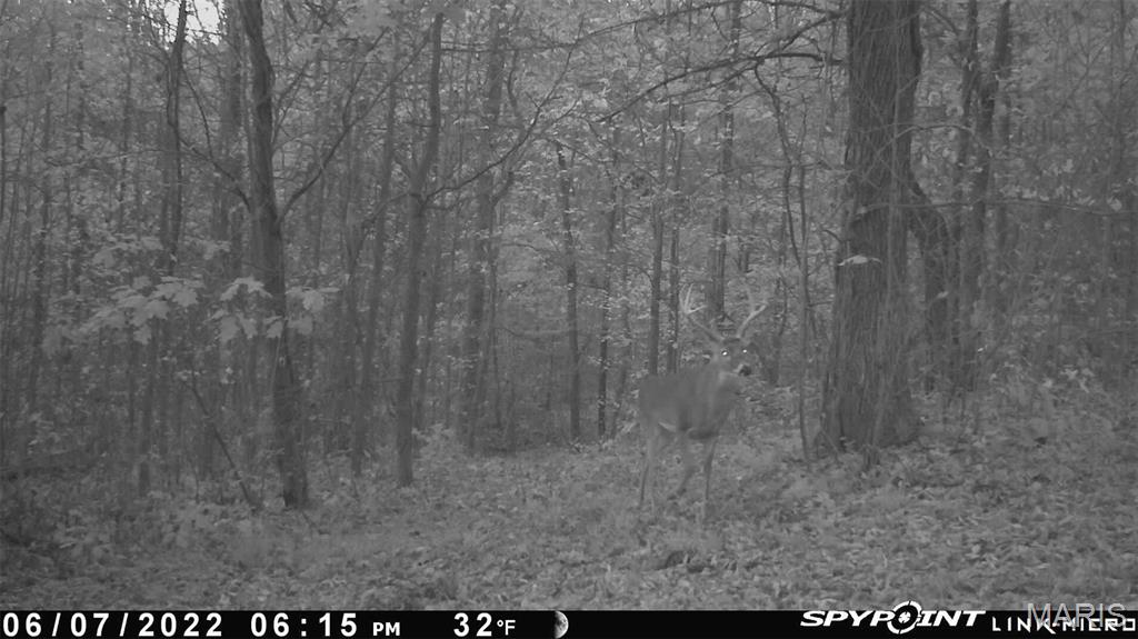 Off Pcr 458 Pcr 458 Property Photo 40