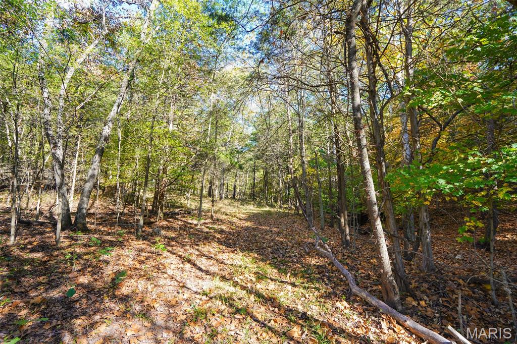 5270 Us Highway 67 Property Photo 4