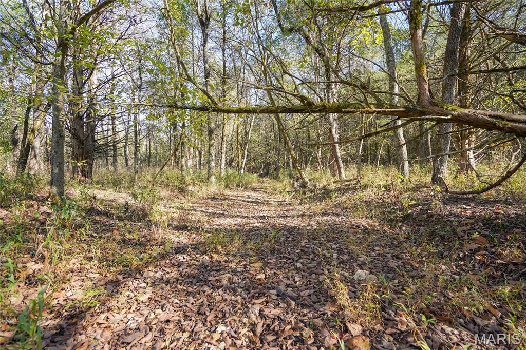 5270 Us Highway 67 Property Photo 5