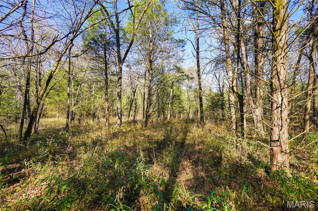 5270 Us Highway 67 Property Photo 6