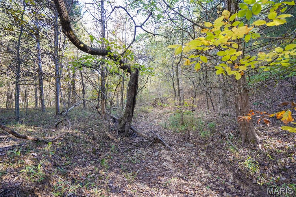 5270 Us Highway 67 Property Photo 9