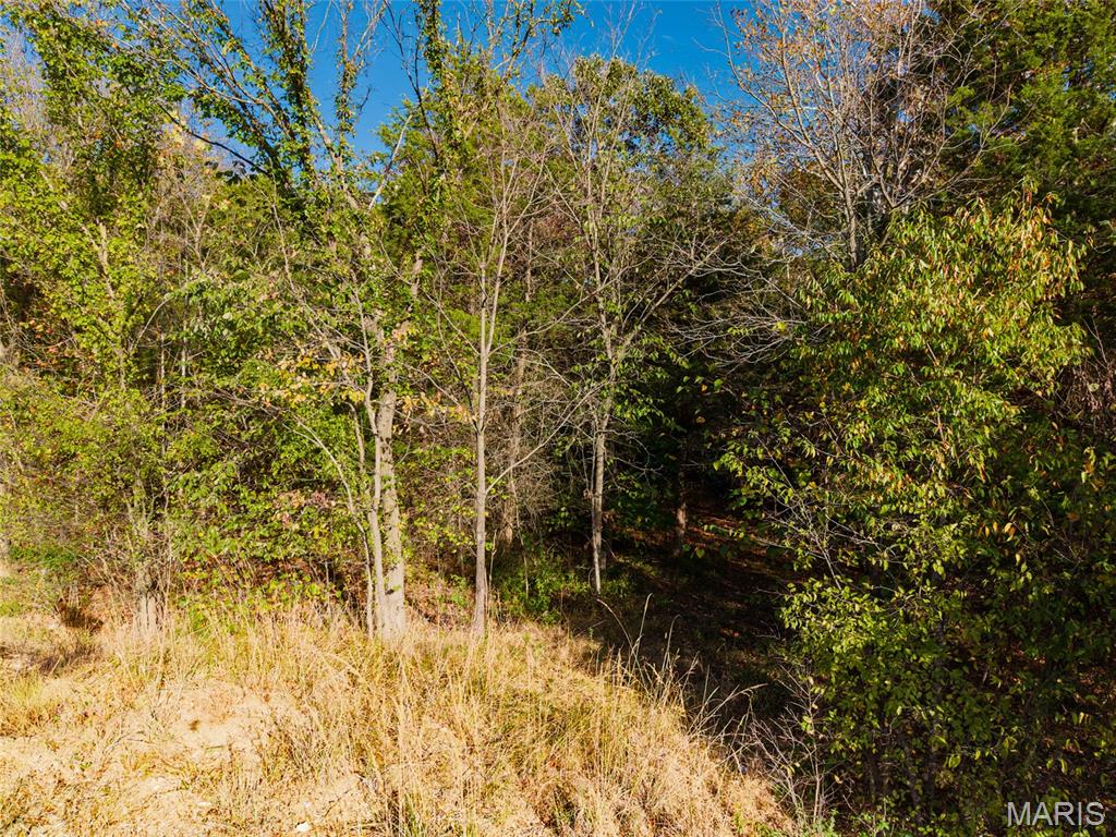 5270 Us Highway 67 Property Photo 11