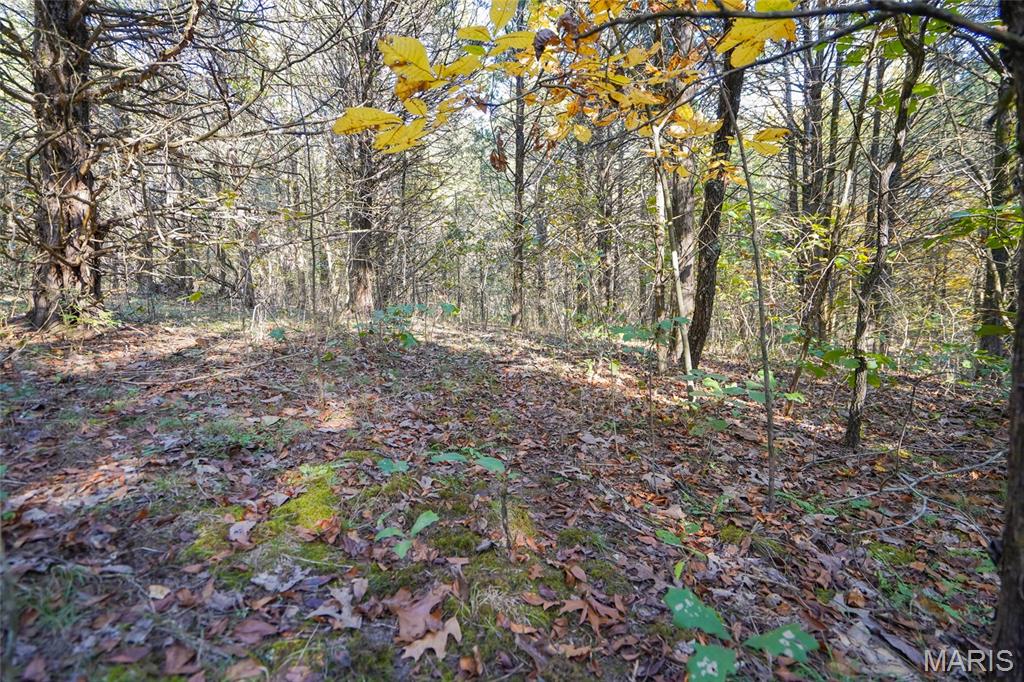 5270 Us Highway 67 Property Photo 12