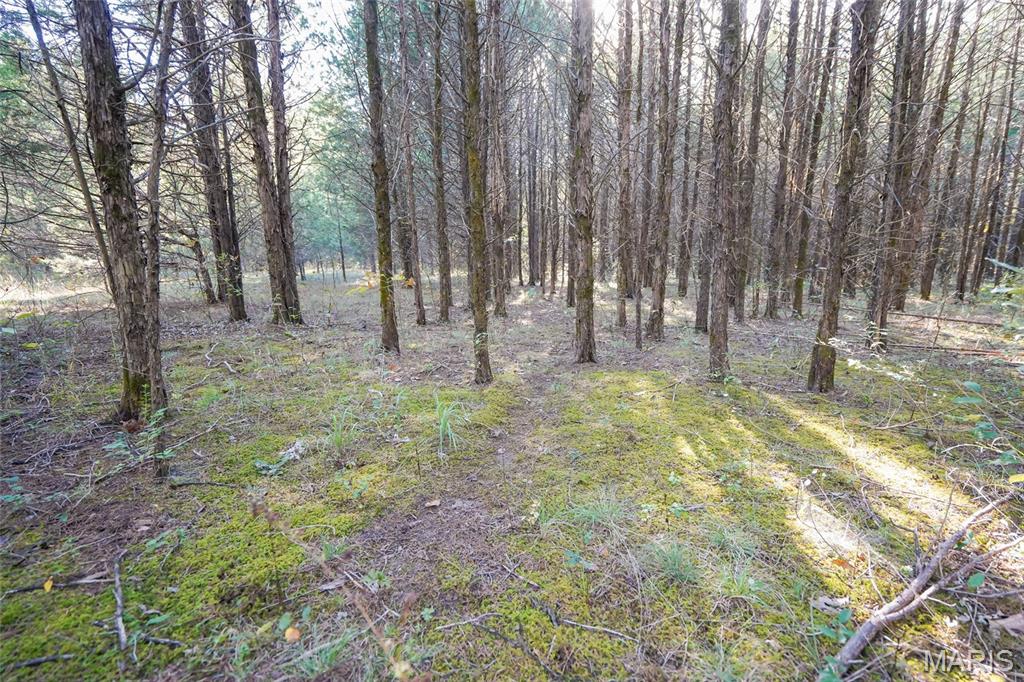 5270 Us Highway 67 Property Photo 13