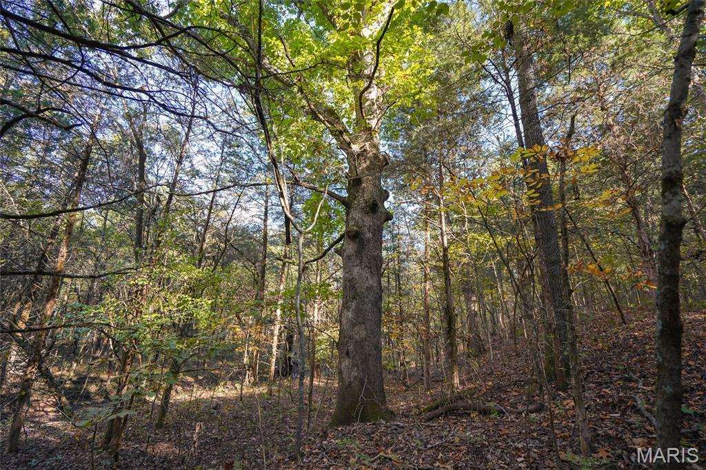 5270 Us Highway 67 Property Photo 14