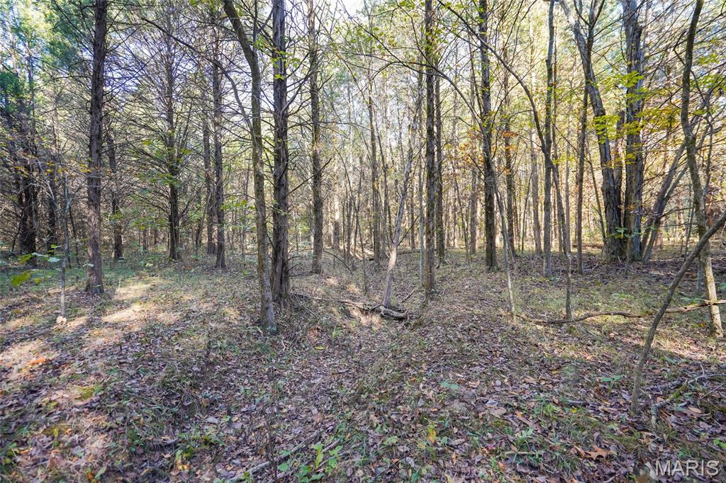 5270 Us Highway 67 Property Photo 15