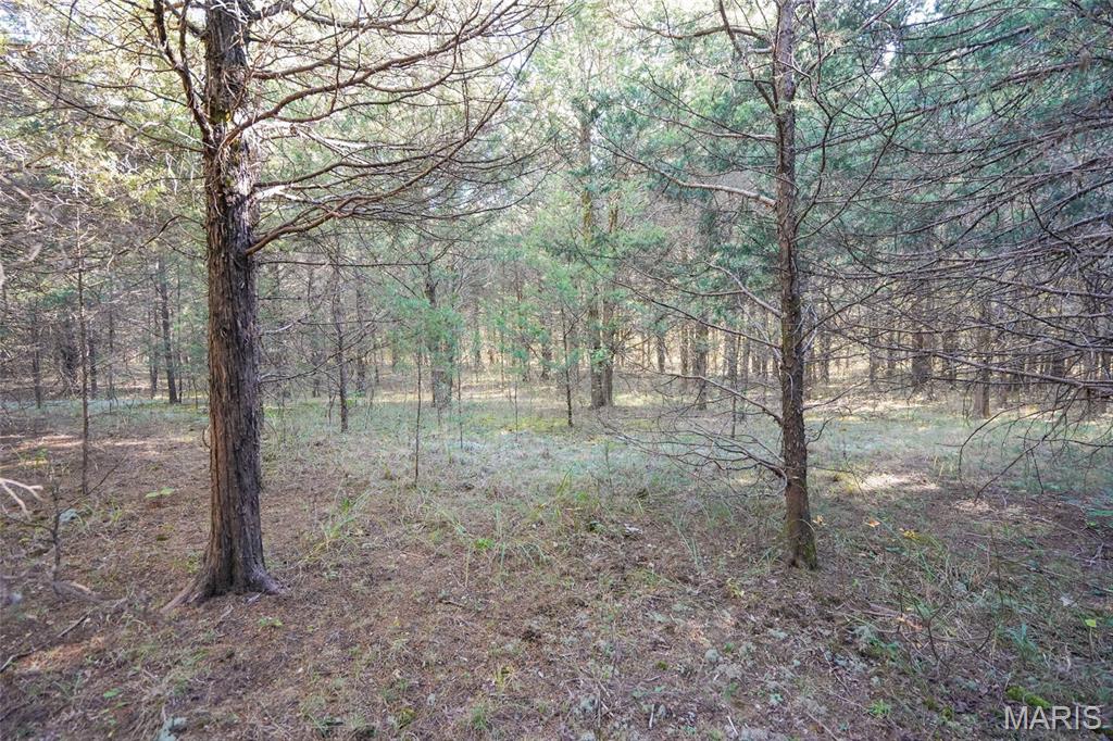 5270 Us Highway 67 Property Photo 16