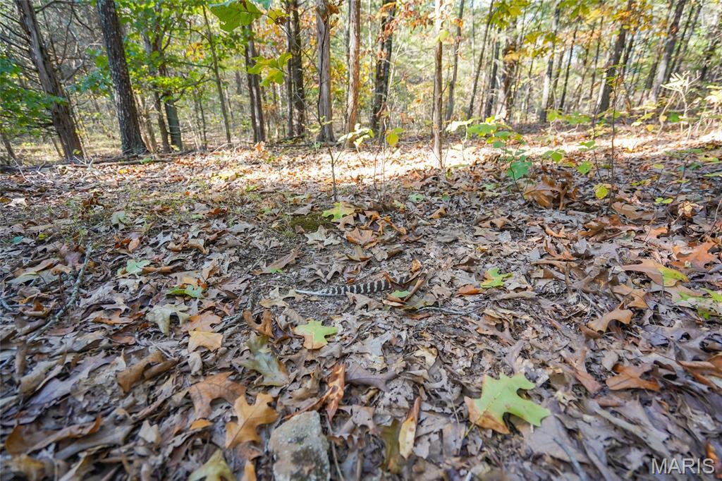 5270 Us Highway 67 Property Photo 17