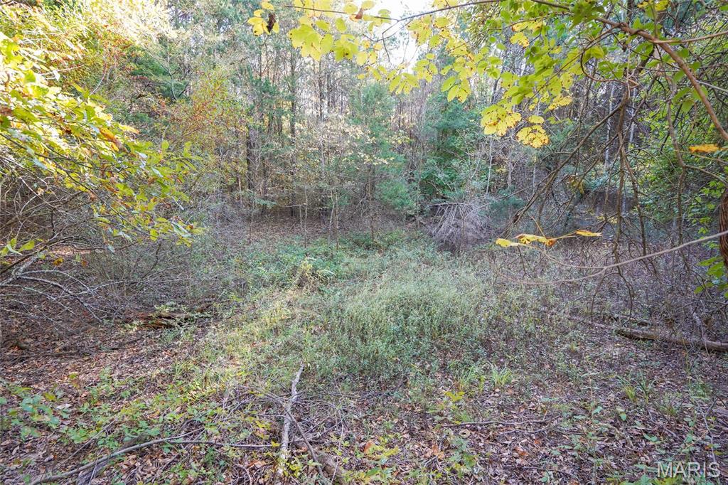 5270 Us Highway 67 Property Photo 18