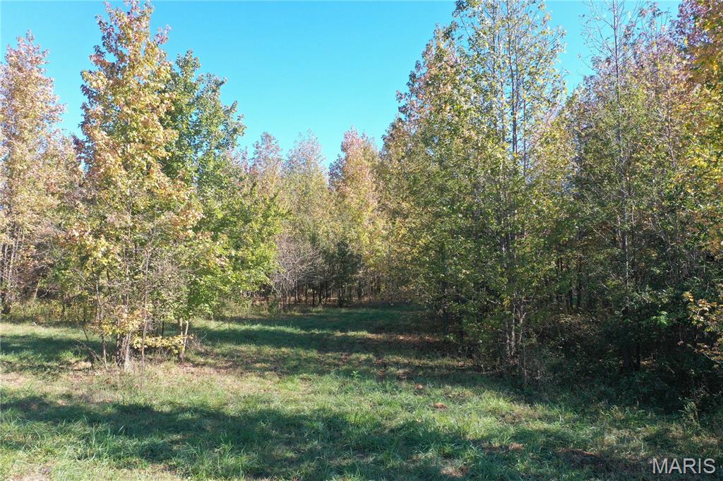 26067901 Property Photo 6