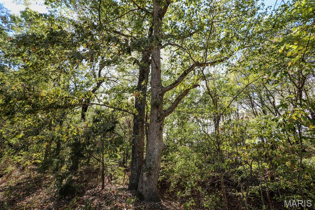 7023 County Road 644 Property Photo 7