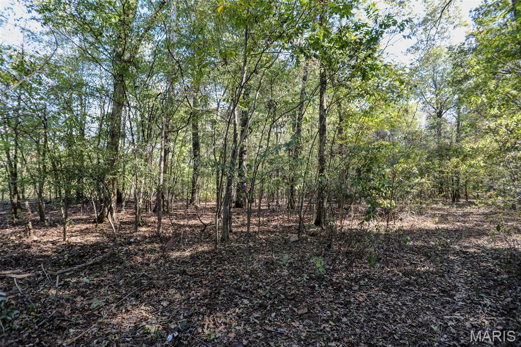 7023 County Road 644 Property Photo 9