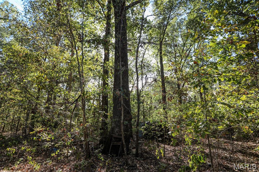 7023 County Road 644 Property Photo 10
