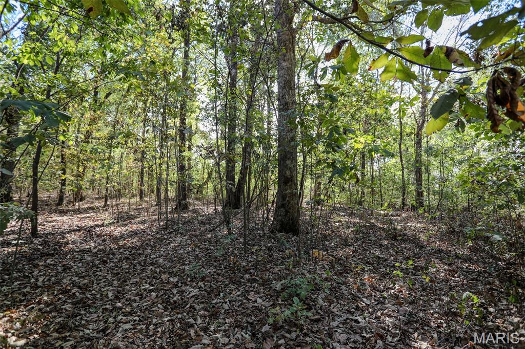 7023 County Road 644 Property Photo 11