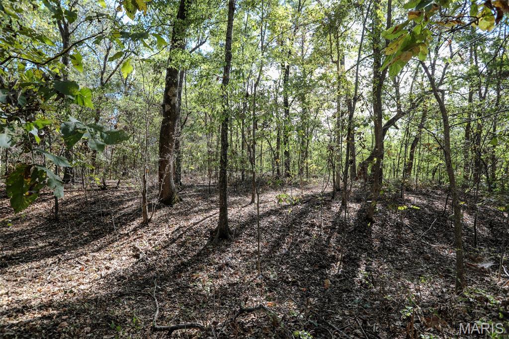 7023 County Road 644 Property Photo 13