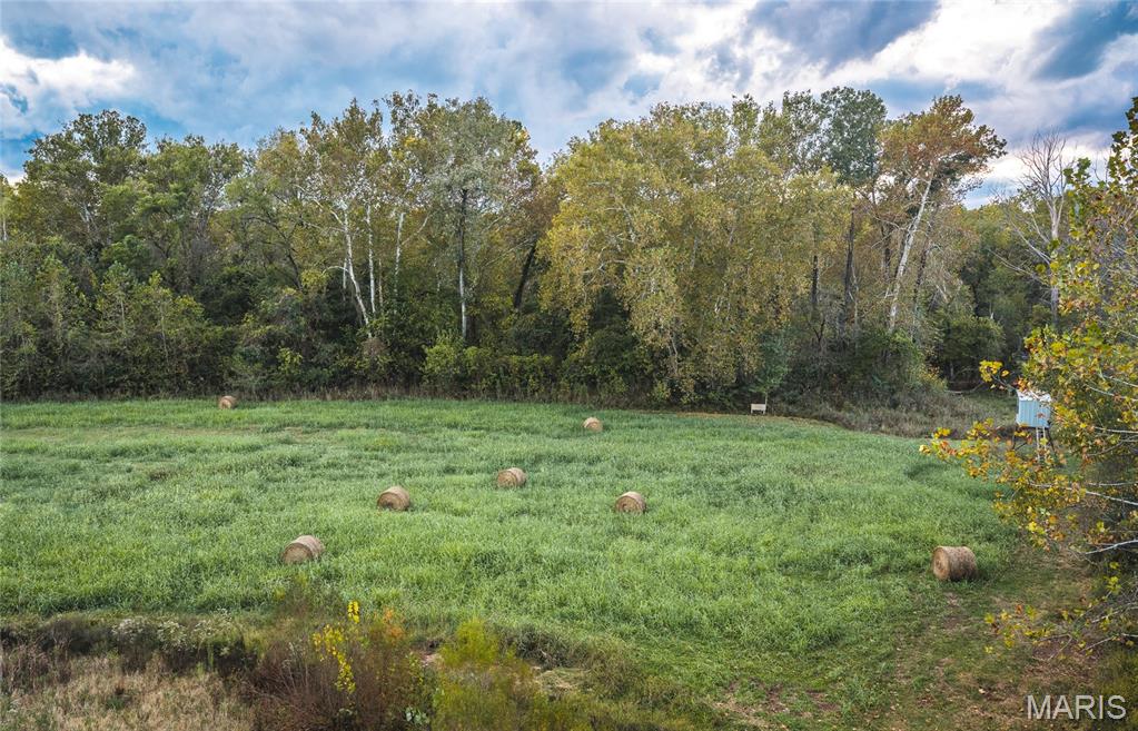 9305 Old State Route 21 Property Photo 2