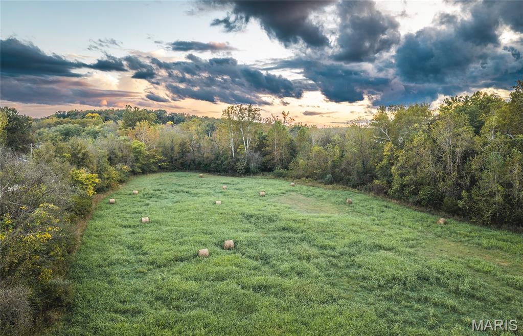 9305 Old State Route 21 Property Photo 4