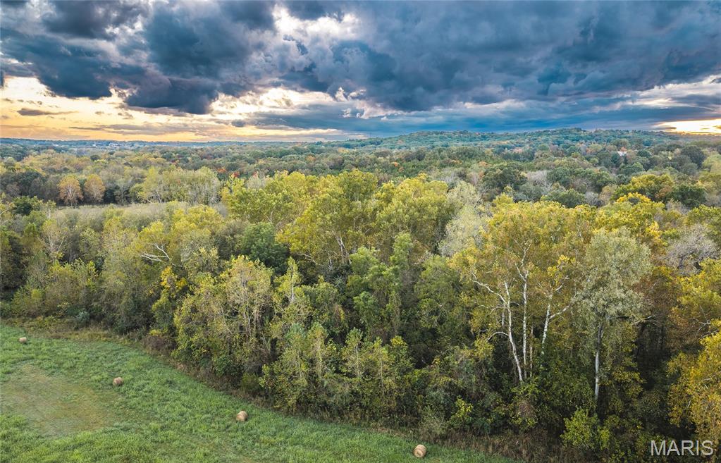 9305 Old State Route 21 Property Photo 5