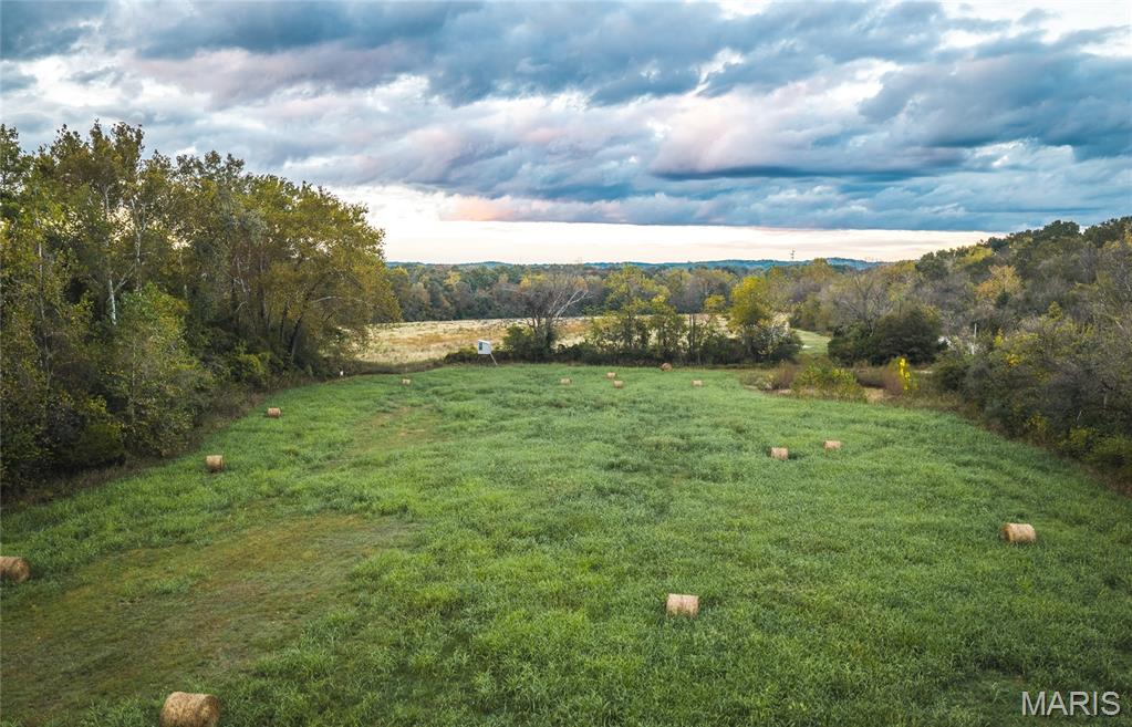 9305 Old State Route 21 Property Photo 11
