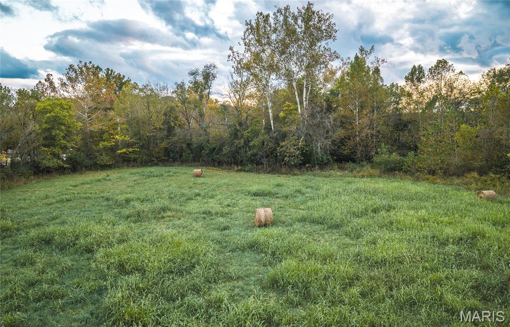 9305 Old State Route 21 Property Photo 12