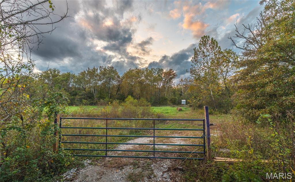 9305 Old State Route 21 Property Photo 14
