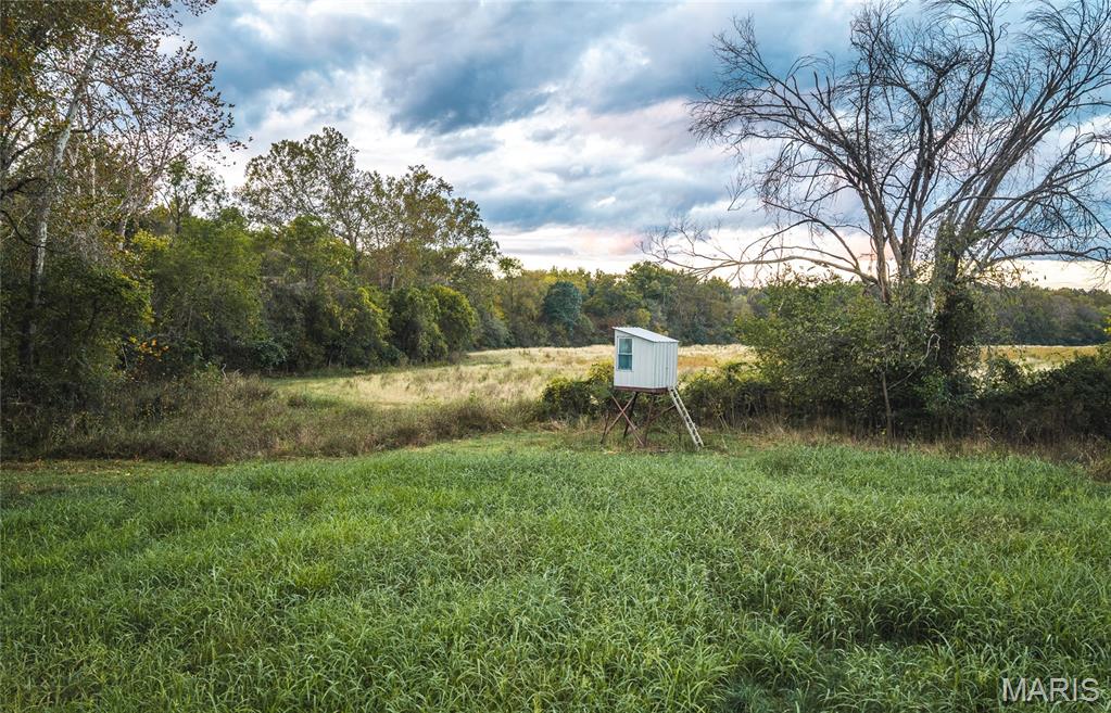 9305 Old State Route 21 Property Photo 15