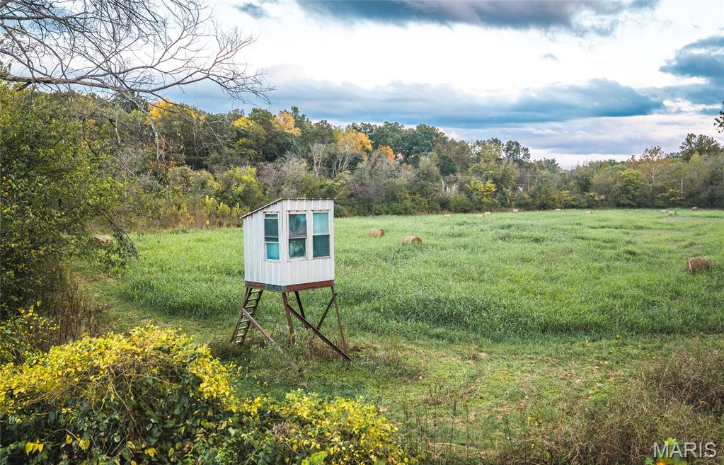 9305 Old State Route 21 Property Photo 16