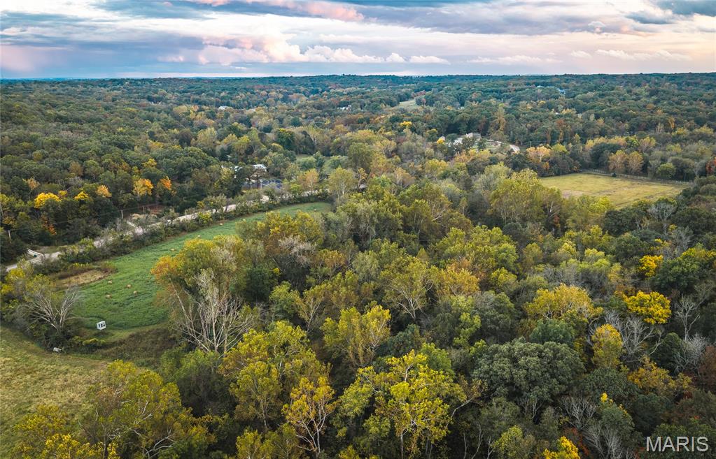 9305 Old State Route 21 Property Photo 17