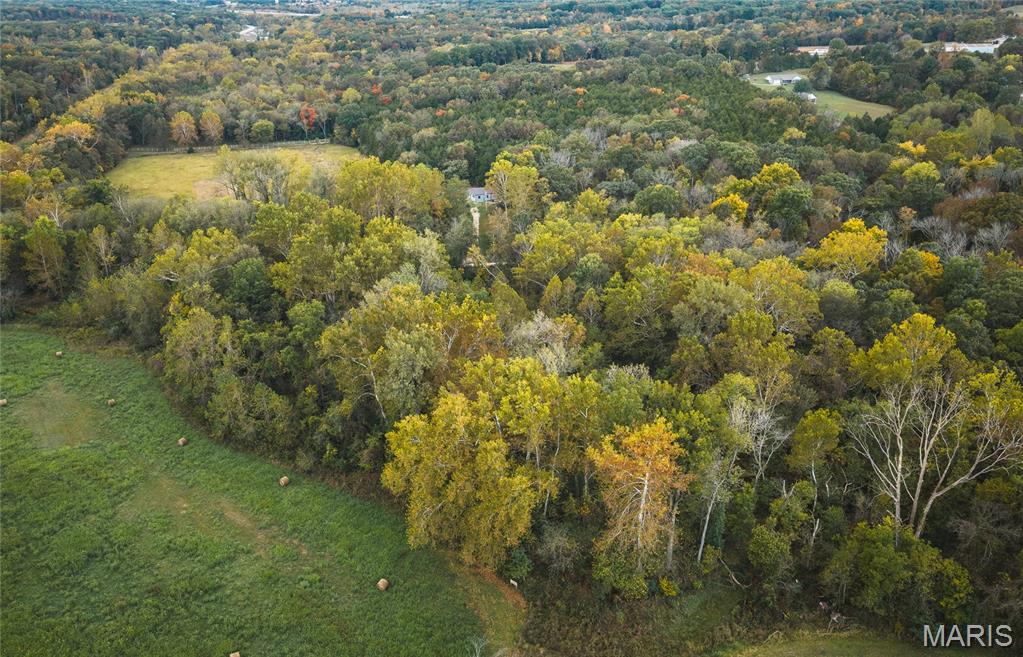 9305 Old State Route 21 Property Photo 19